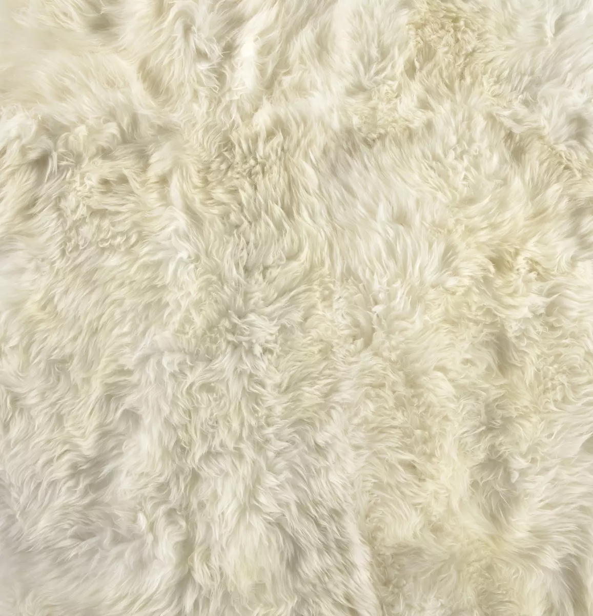 Lalo Lambskin Rug White Lambskin Four Hands