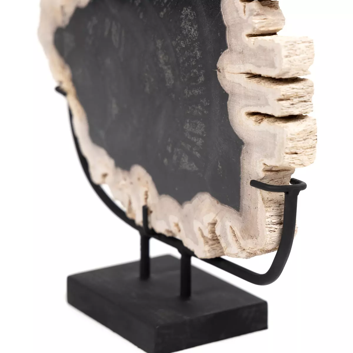 Petrified Wood Sculpture - Dark – Alchemy Fine Home