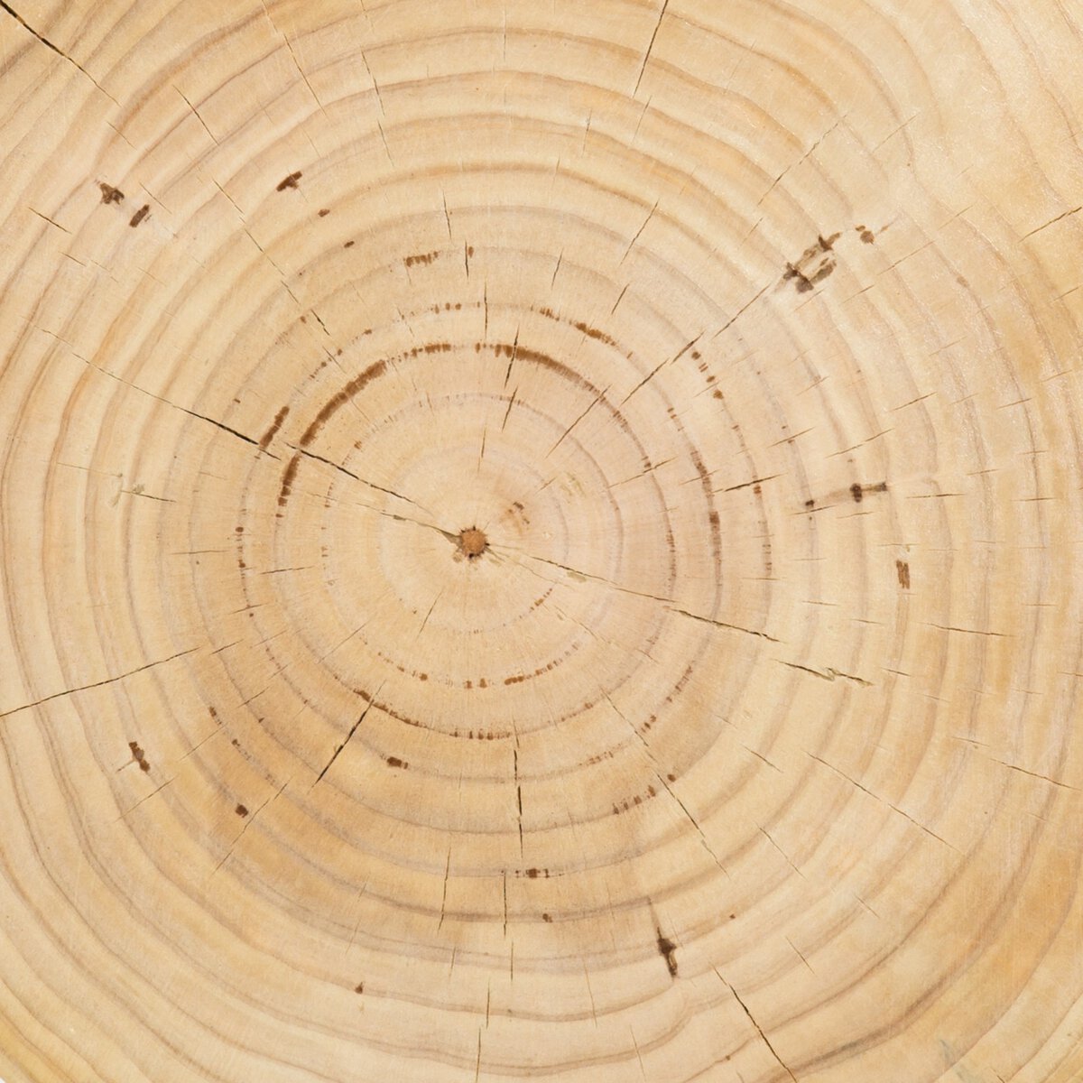 Aliza End Table Natural Pine Four Hands
