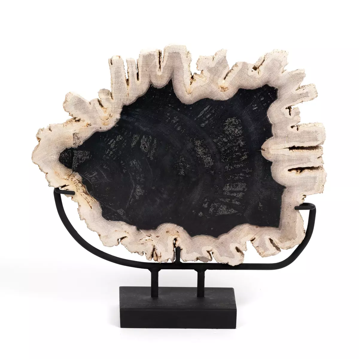 Petrified Wood Sculpture Matte Black Iron Four Hands