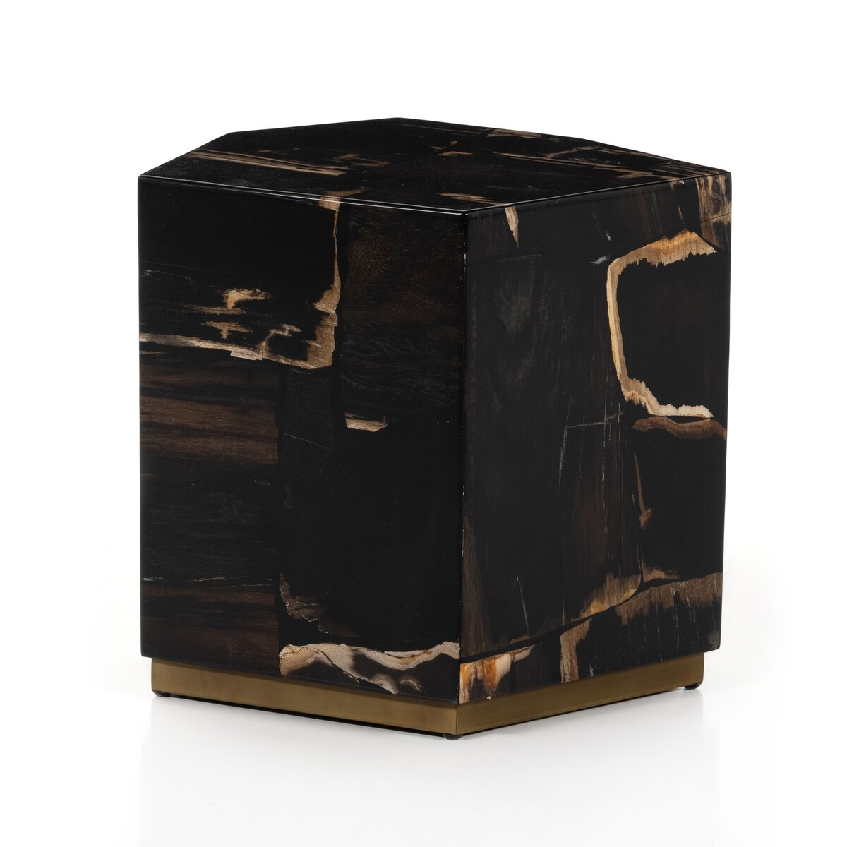 remoldlab/shesame/camphor wood シャギーベスト Shep End Table Dark Petrified Wood Four Hands